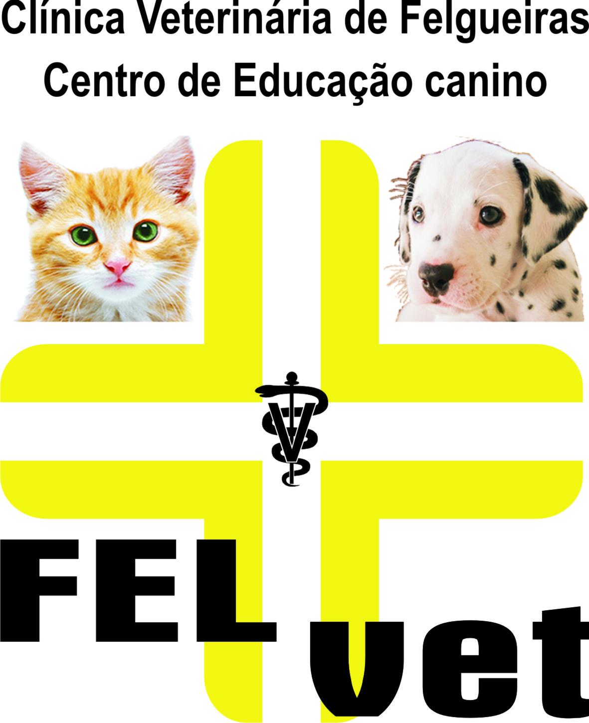 FelVet - C. Vet. de Felgueiras