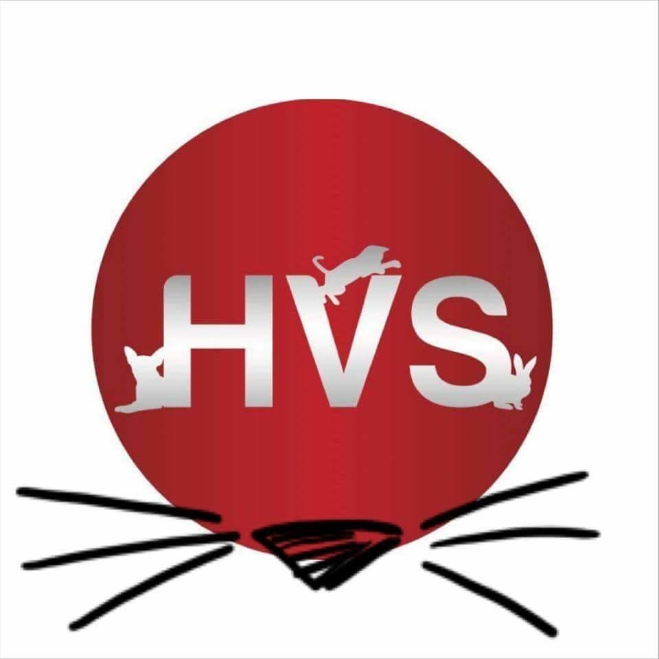 HVS - Hosp. Vet. de Santarém