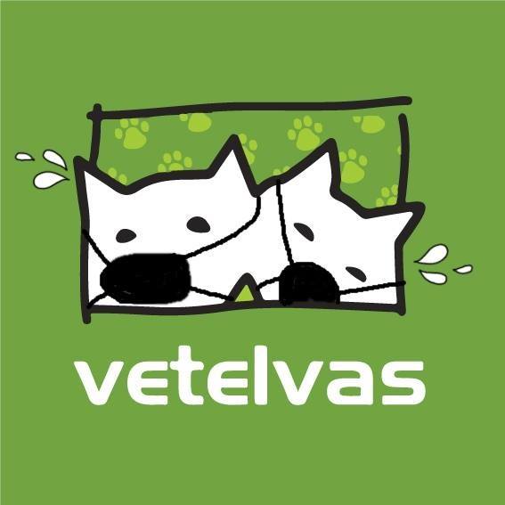 Vetelvas - C. Veterinária   