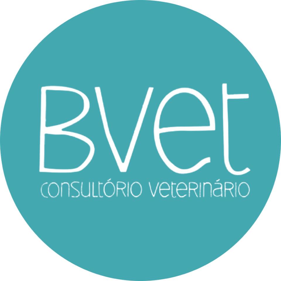 Bvet - Consultório Veterinário