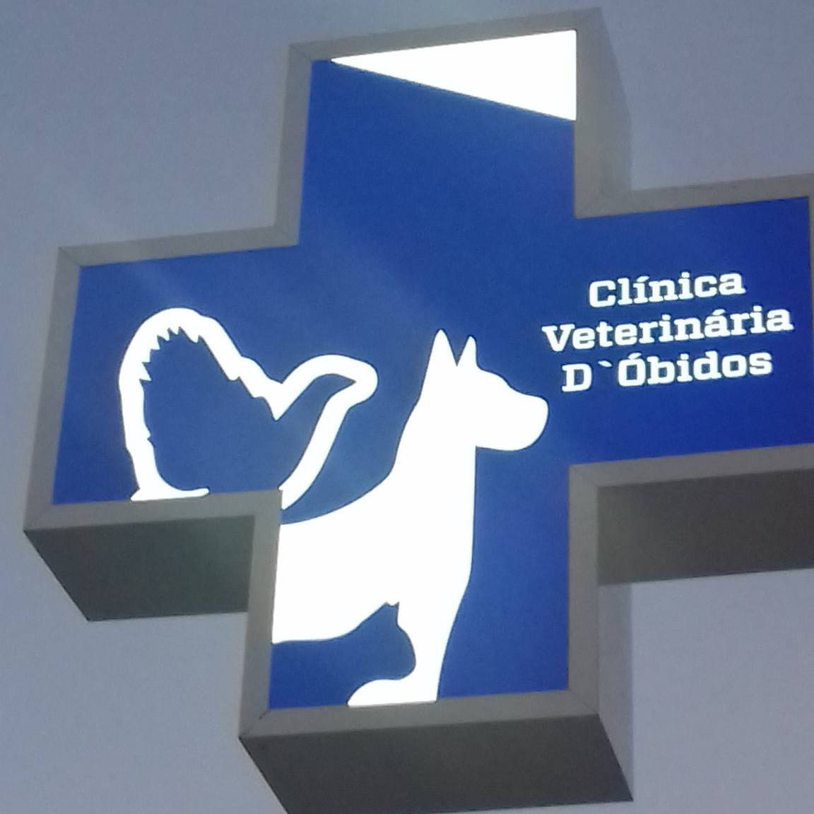 C. Veterinária D'Óbidos