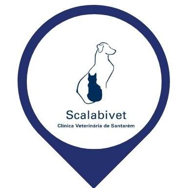 Scalabivet - C. Vet. de Santarém