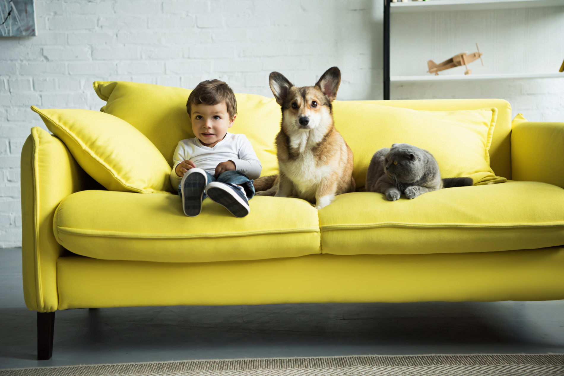 Criança sentada num sofá amarelo acompanhado por um cão atento e um gato que os olha.