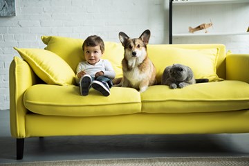 <p>Criança sentada num sofá amarelo acompanhado por um cão atento e um gato que os olha.</p>