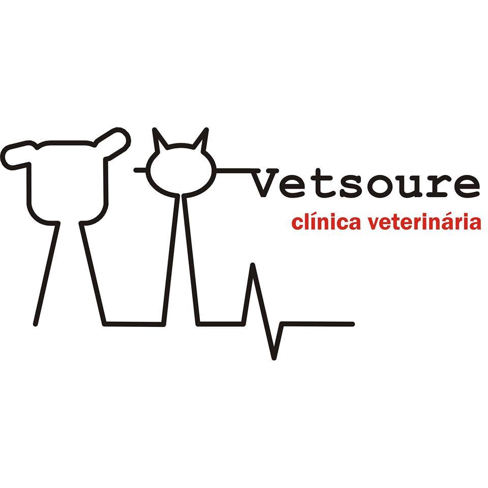 Vetsoure - C. Veterinária