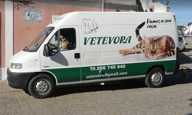 568 Vetévora - Centro Veterinário 3.PNG