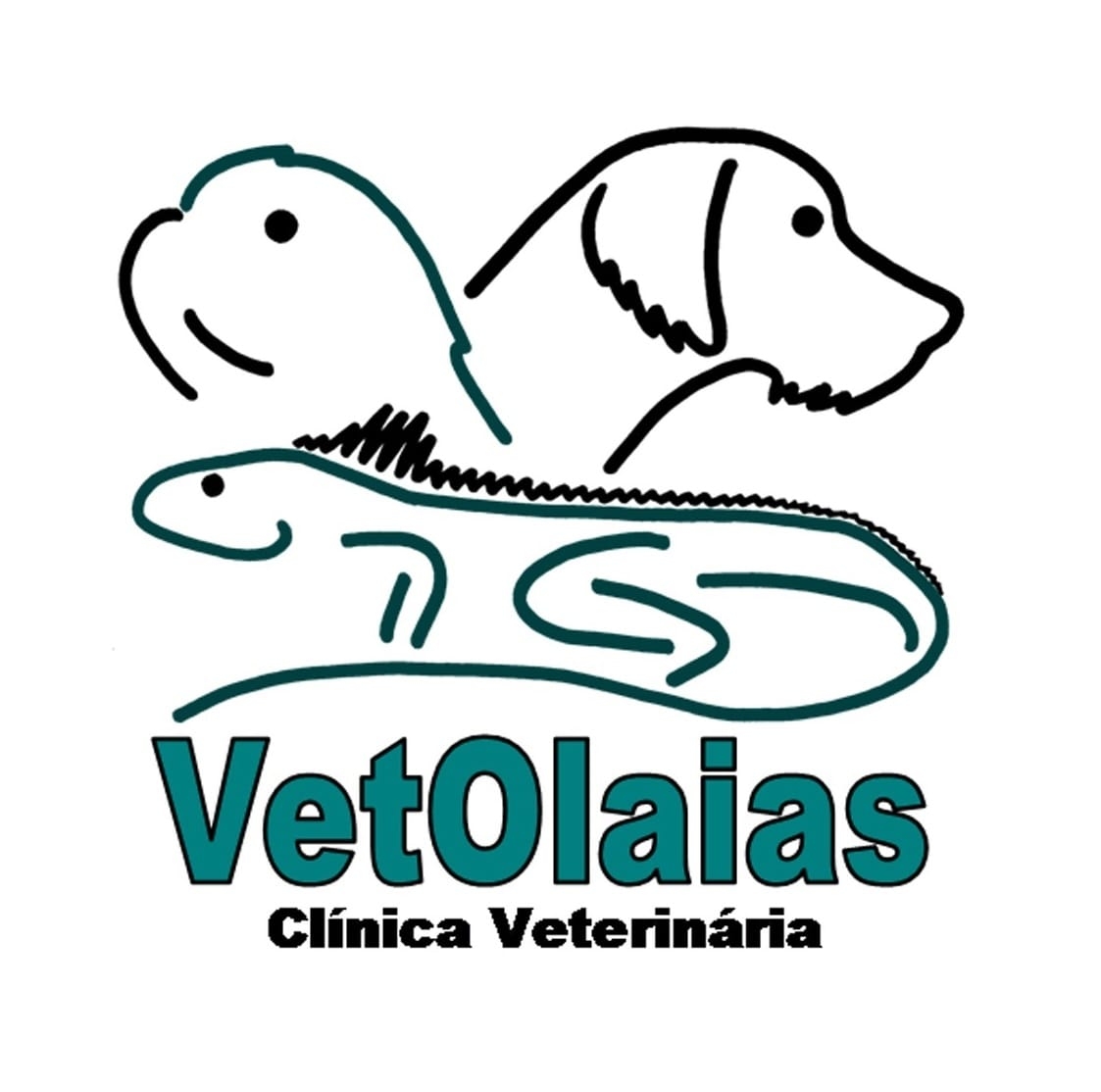 VetOlaias - C. Veterinária