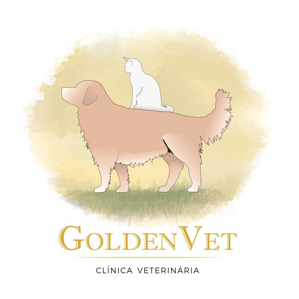 GoldenVet C. Veterinária