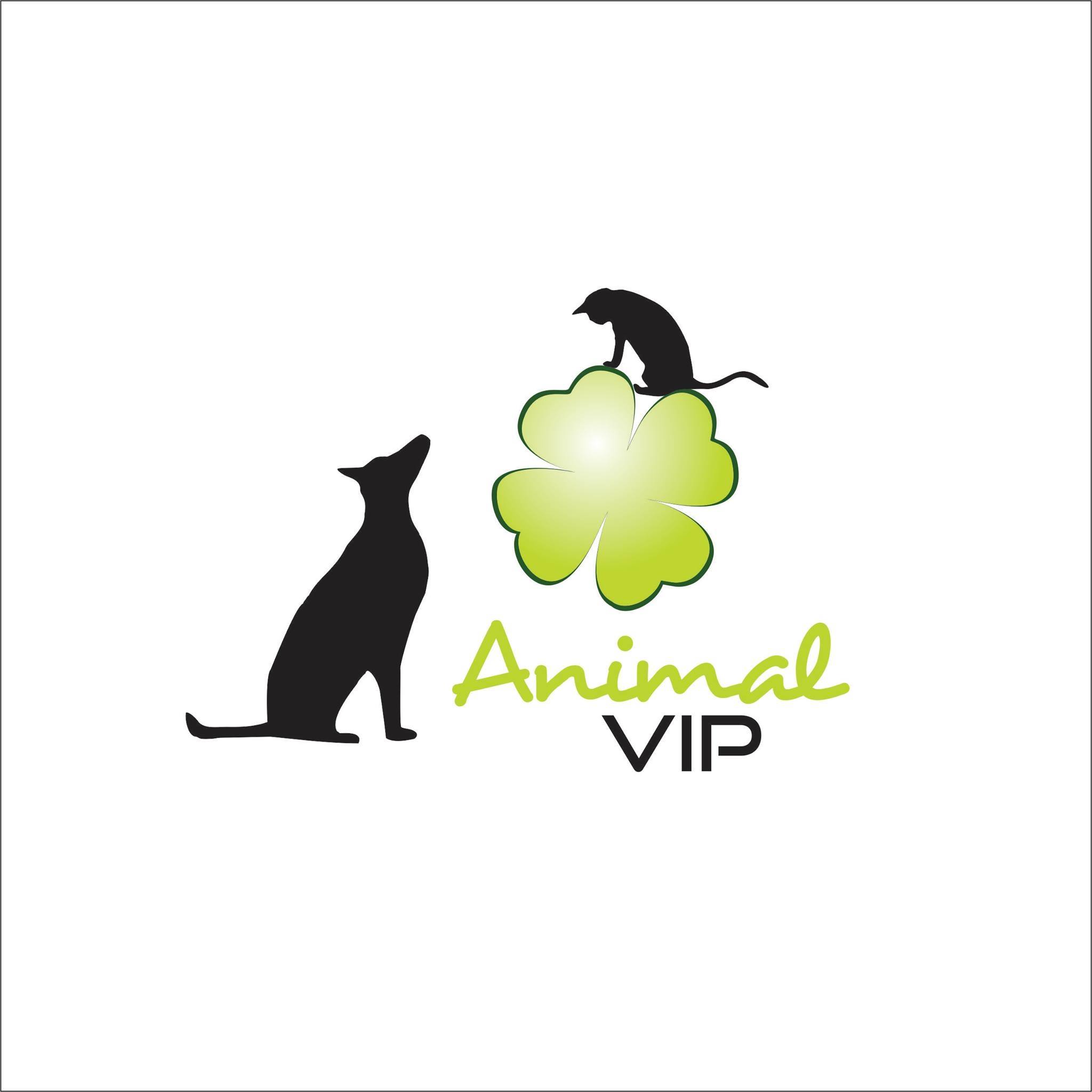 Animal Vip - C. Vet. de Beira Alta 