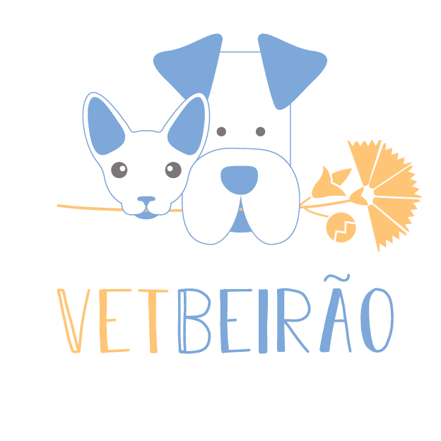 VetBeirão -  Serviços Vet.s