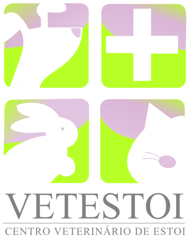 Vetestoi - Centro Vet. de Estoi
