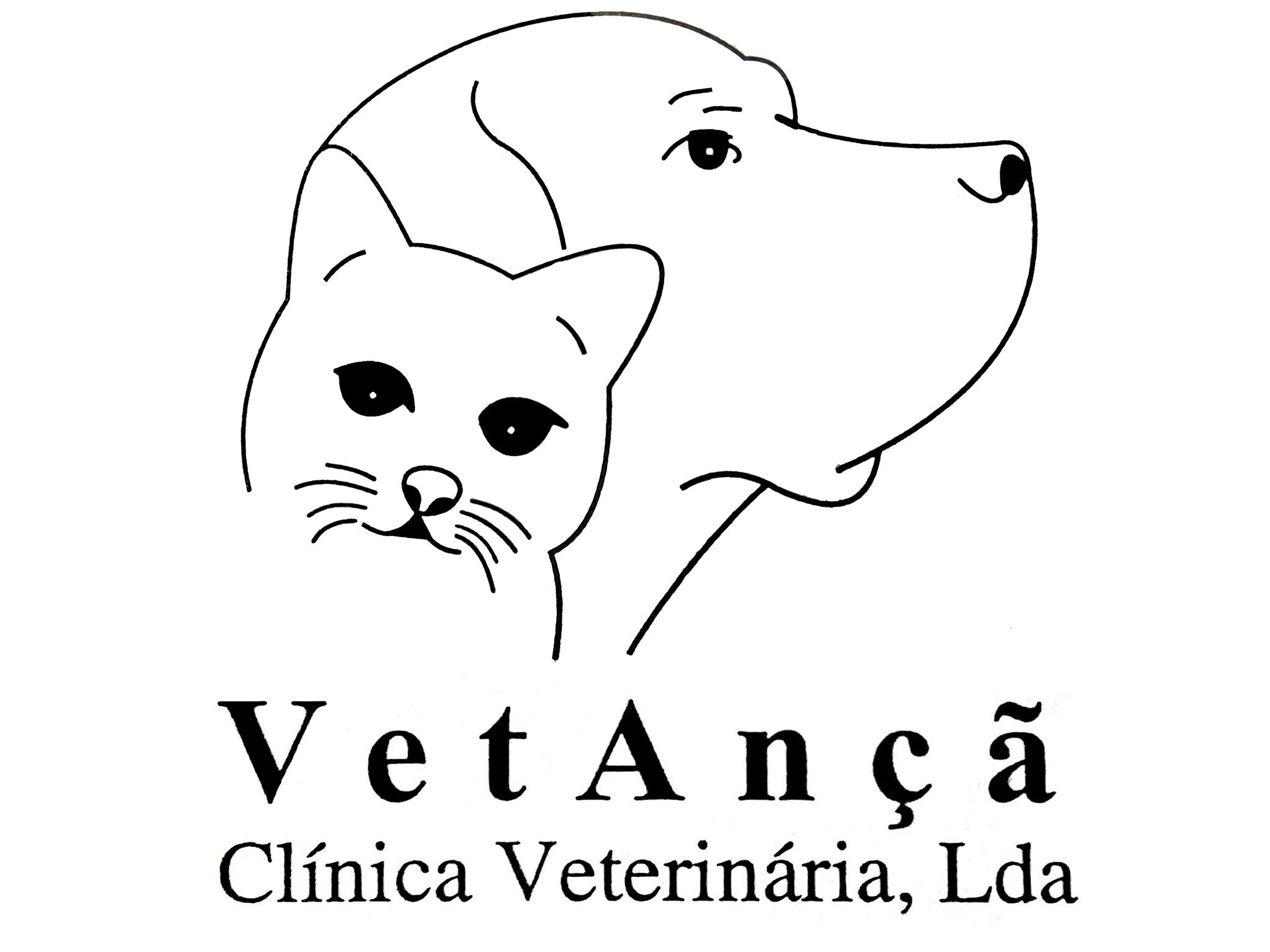 Vetançã - C. Veterinária 